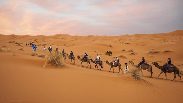 Erg chebbi camel ride